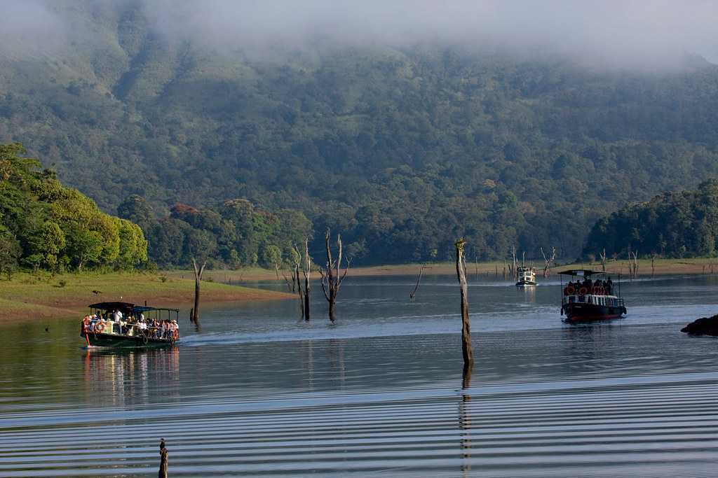Thekkady Wildlife