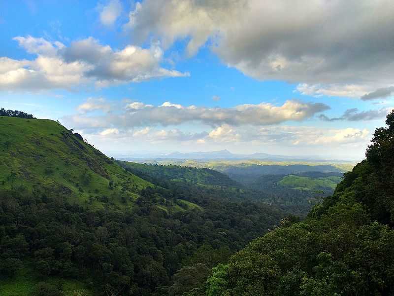 Wayanad Hills